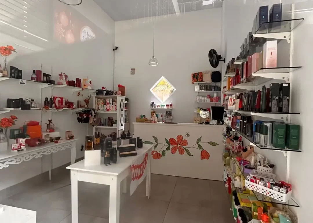 LOJA COMERCIAL PENEDO TERRAS DA FINLANDIA - CLARISSA-11