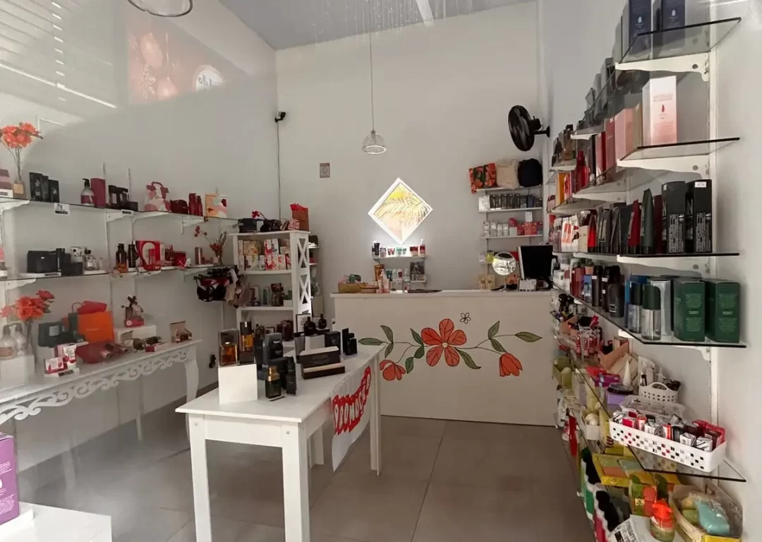 LOJA COMERCIAL PENEDO TERRAS DA FINLANDIA - CLARISSA-14